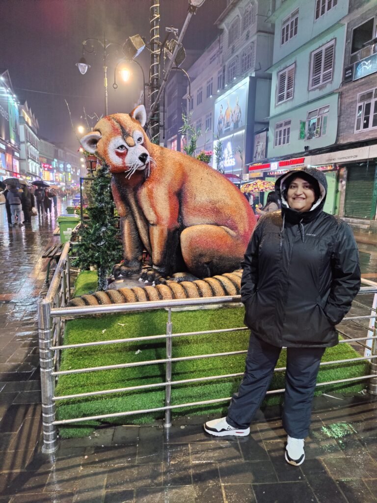 Red Panda in MG Marg