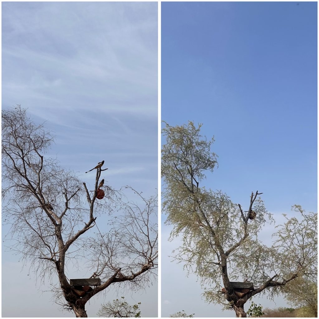 Jaipur summer vs monsoon