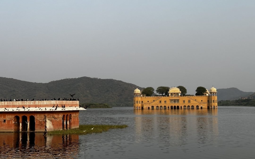 Why Jal Mahal Is Closed? How To Visit Jal Mahal From Inside?