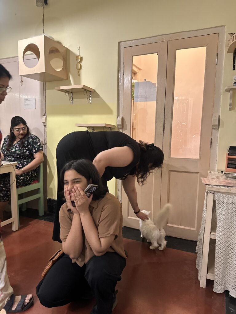 Interacting with guests at Mrs Wilsons Cafe