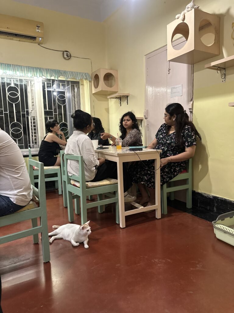 Cats at Mrs Wilsons Cafe