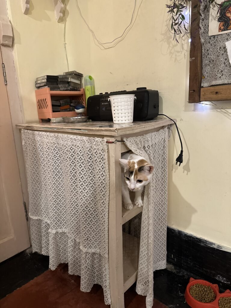 One corner full of old goodies at Kolkata's cat cafe