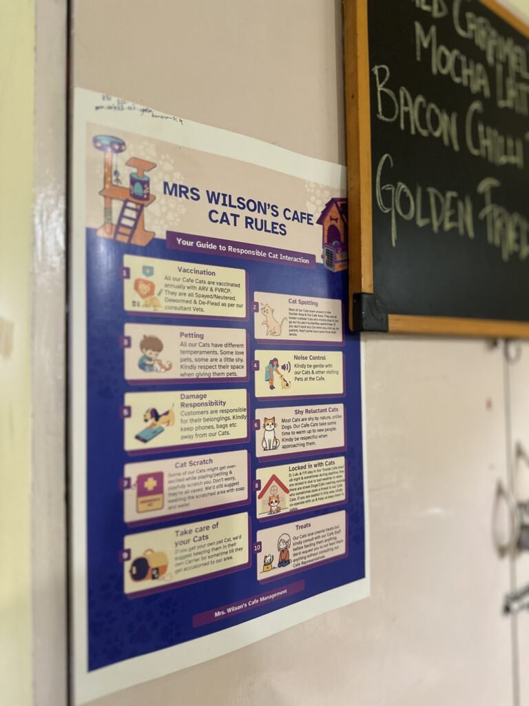 Instructions to follow at cat cafe in Kolkata